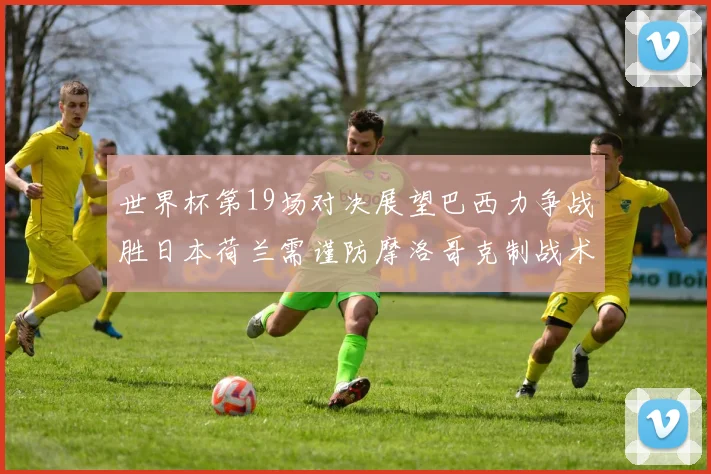 世界杯第19场对决展望巴西力争战胜日本荷兰需谨防摩洛哥克制战术