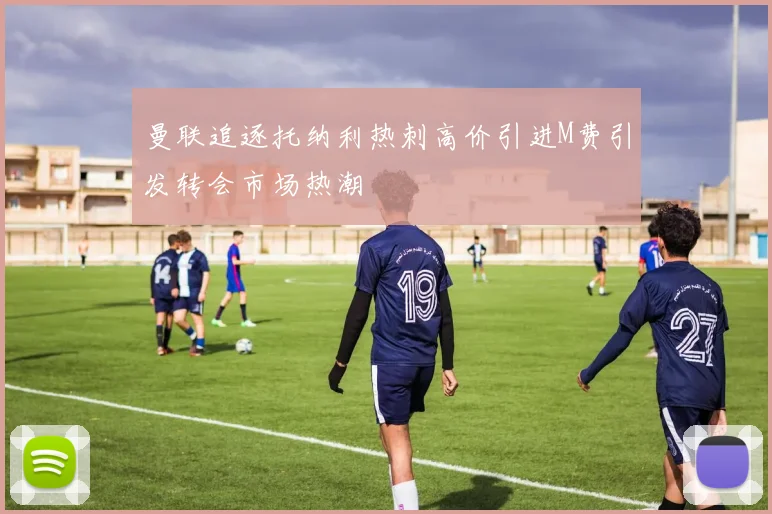 曼联追逐托纳利热刺高价引进M费引发转会市场热潮