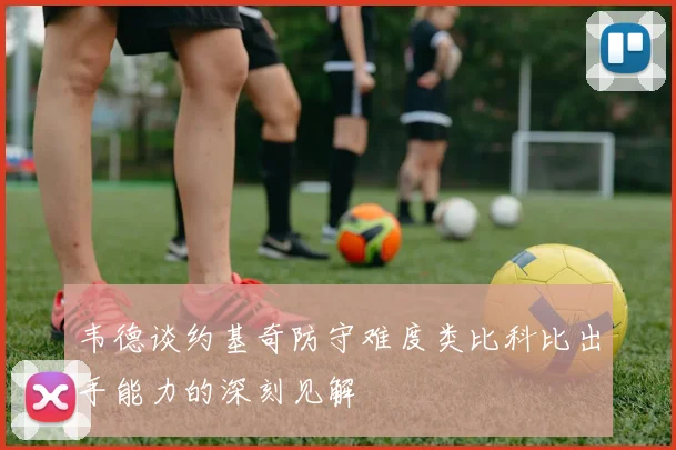 韦德谈约基奇防守难度类比科比出手能力的深刻见解